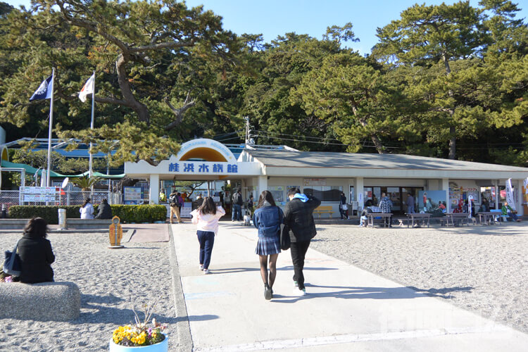 桂浜水族館