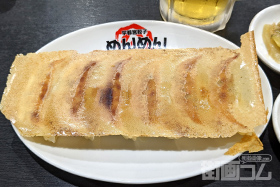 宇都宮餃子めんめん!パリパリ羽付つき餃子が有名な宇都宮の人気店