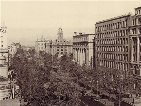 御堂筋写真画像