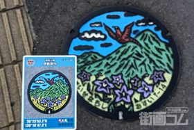 神奈川県伊勢原市A001マンホールカード配布・設置場所マップ