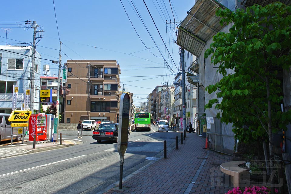 江古田通り