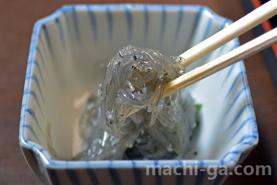 腰越(鎌倉)「かきや」 生しらす