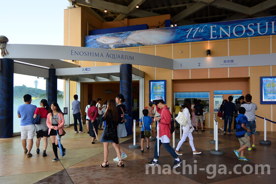 新江ノ島水族館(えのすい)の入場料(一般)