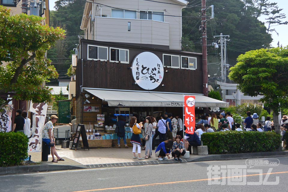 しらす問屋 とびっちょ本店の外観