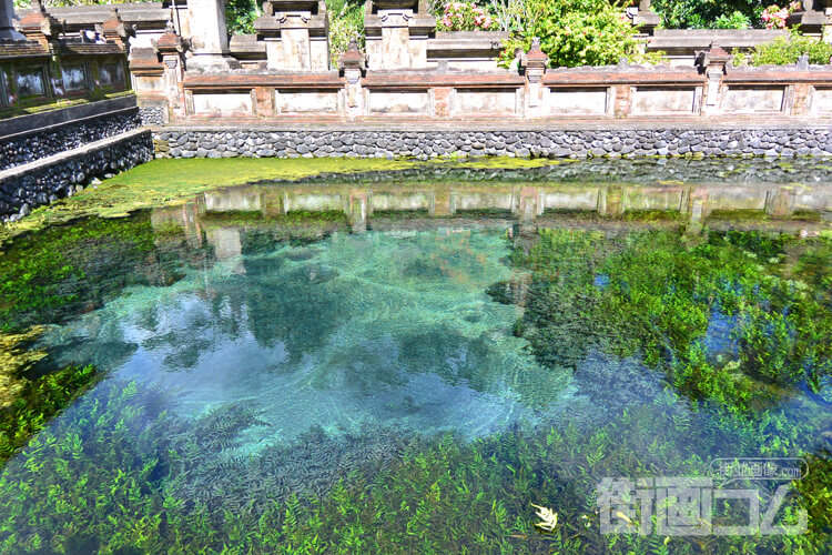 ティルタ・ウンプル寺院 聖なる泉