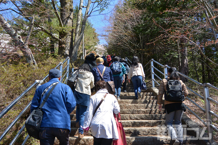 咲くや姫階段