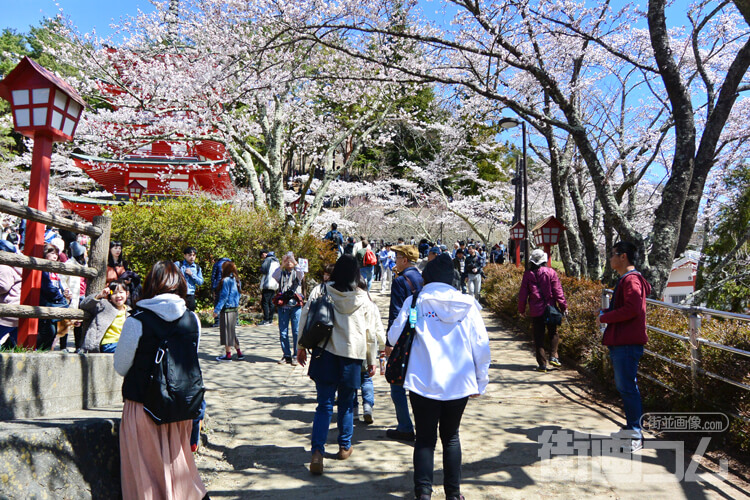 咲くや姫階段を登りきると