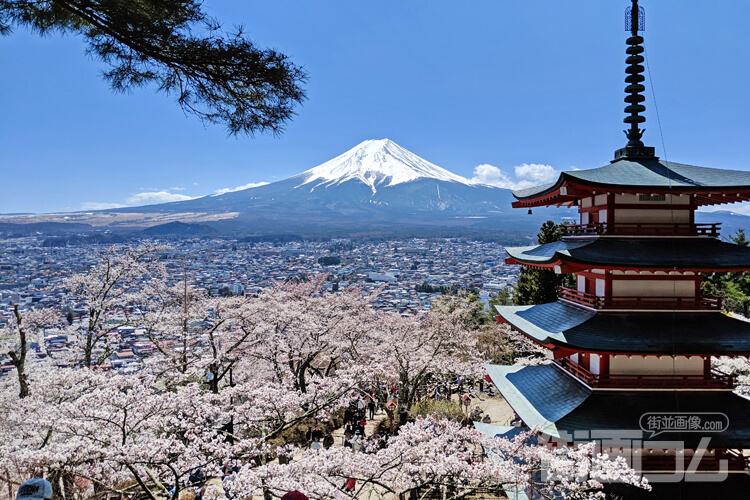 展望台一番上の段から