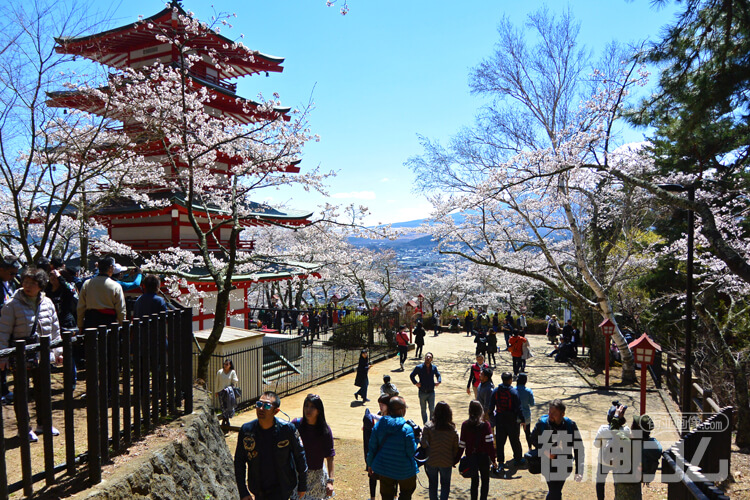 新倉山浅間公園の所要時間まとめ