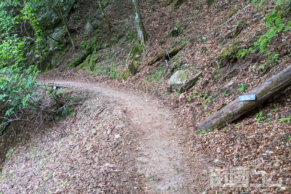 西沢渓谷ハイキングコース(復路)