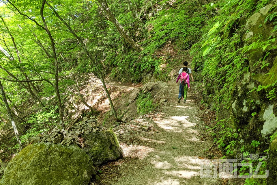 西沢渓谷ハイキングコース（復路）