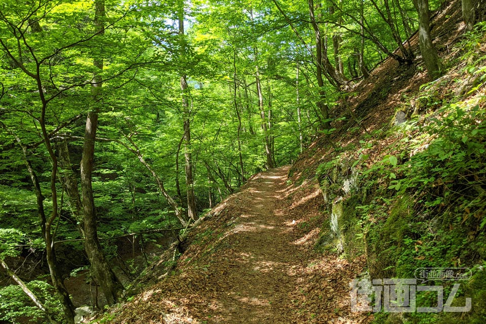 西沢渓谷ハイキングコース(復路)