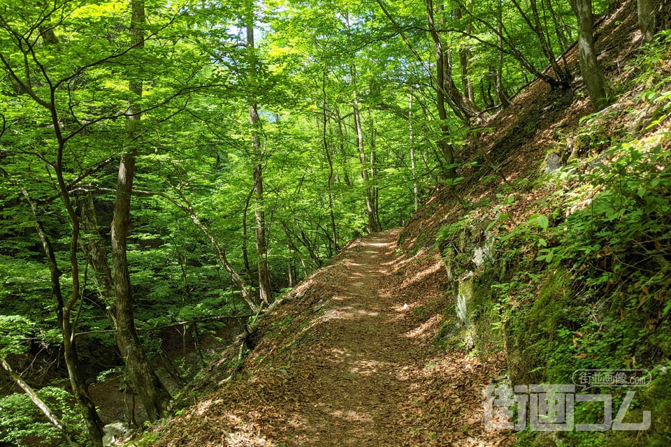 西沢渓谷ハイキングコース（復路）