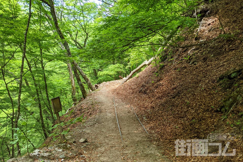 西沢渓谷ハイキングコース（復路）