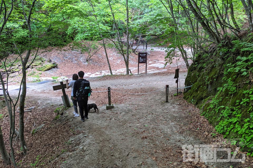 西沢渓谷ハイキングコース(復路)