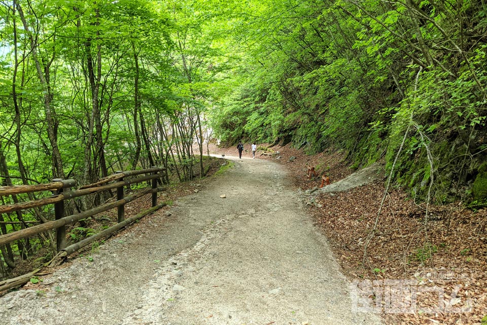 西沢渓谷ハイキングコース（復路）