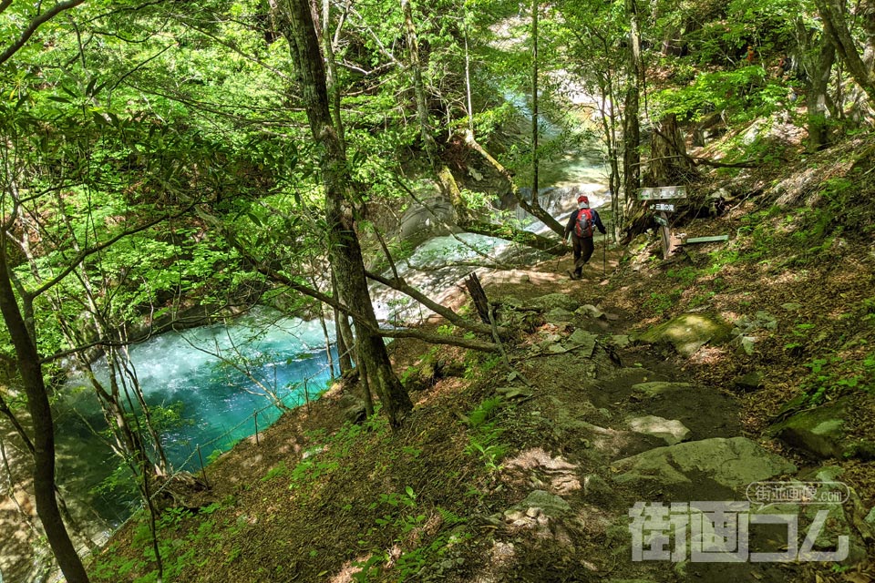 西沢渓谷ハイキングコース「滝見台分岐」