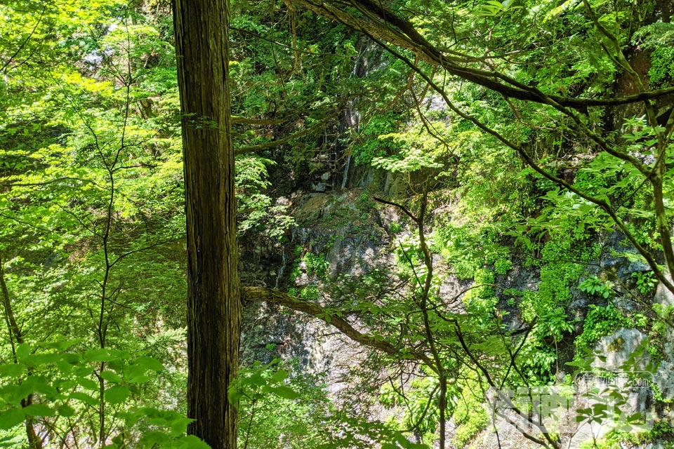 西沢渓谷ハイキングコース「恋糸の滝」