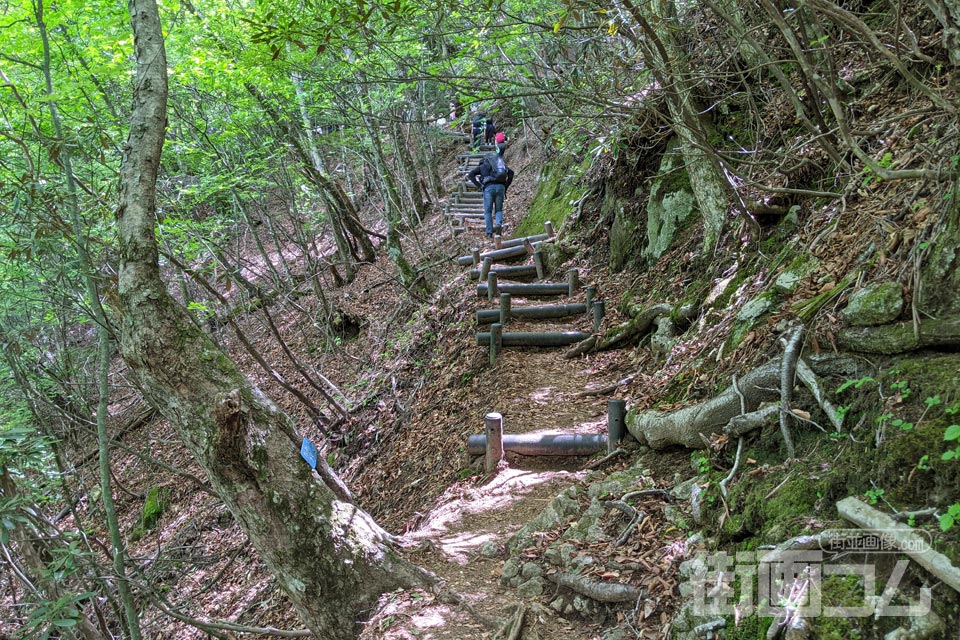 西沢渓谷ハイキングコース